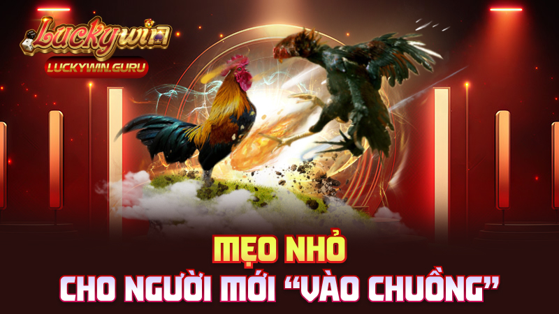 Mẹo nhỏ cho người mới “vào chuồng”